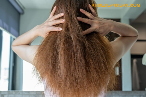 Cách khắc phục tình trạng tóc khô cứng dễ rụng