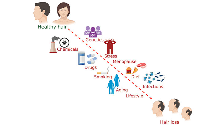 Những yếu tố gây ảnh hưởng đến tốc độ mọc tóc